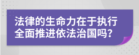 法律的生命力在于执行全面推进依法治国吗？