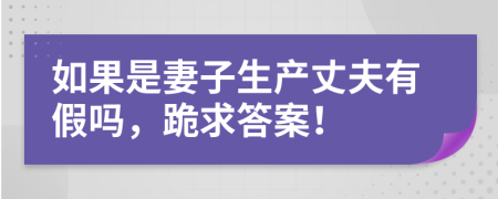 如果是妻子生产丈夫有假吗，跪求答案！
