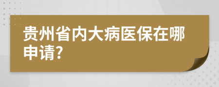 贵州省内大病医保在哪申请?