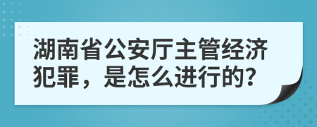 湖南省公安厅主管经济犯罪，是怎么进行的？