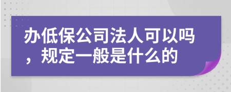 办低保公司法人可以吗，规定一般是什么的