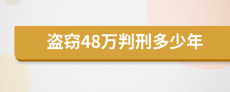 盗窃48万判刑多少年