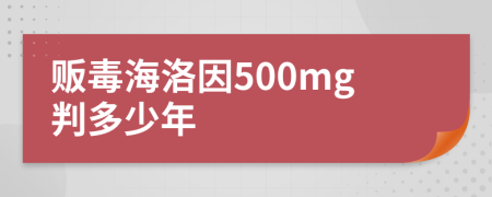 贩毒海洛因500mg判多少年