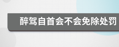 醉驾自首会不会免除处罚