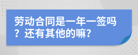 劳动合同是一年一签吗？还有其他的嘛？