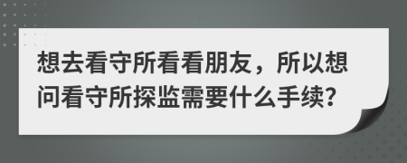 想去看守所看看朋友，所以想问看守所探监需要什么手续？