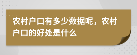 农村户口有多少数据呢，农村户口的好处是什么