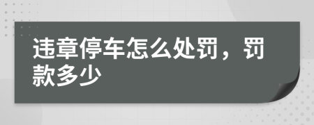 违章停车怎么处罚，罚款多少