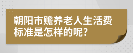 朝阳市赡养老人生活费标准是怎样的呢?