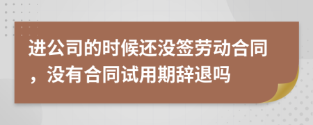 进公司的时候还没签劳动合同，没有合同试用期辞退吗