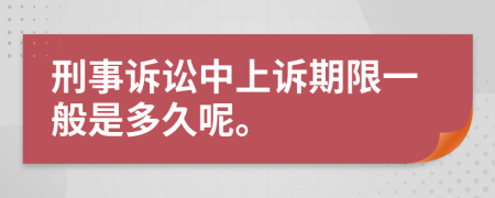 刑事诉讼中上诉期限一般是多久呢。