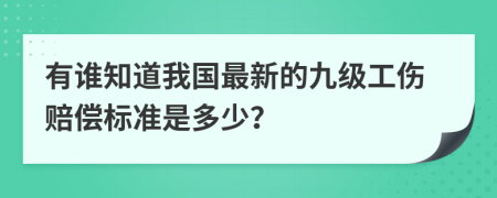 有谁知道我国最新的九级工伤赔偿标准是多少？