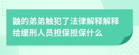 鼬的弟弟触犯了法律解释解释给缓刑人员担保担保什么