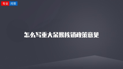 怎么写重大呆账核销政策意见