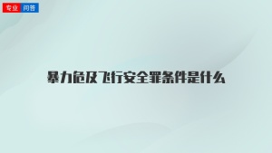 暴力危及飞行安全罪条件是什么