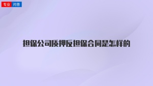 担保公司质押反担保合同是怎样的