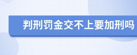 判刑罚金交不上要加刑吗