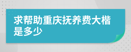 求帮助重庆抚养费大楷是多少