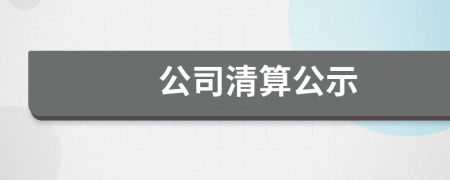 公司清算公示