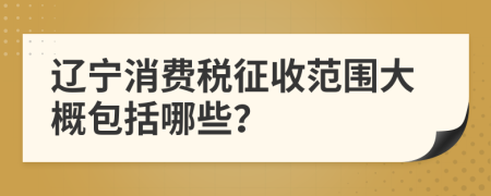 辽宁消费税征收范围大概包括哪些？