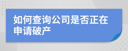 如何查询公司是否正在申请破产