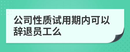 公司性质试用期内可以辞退员工么