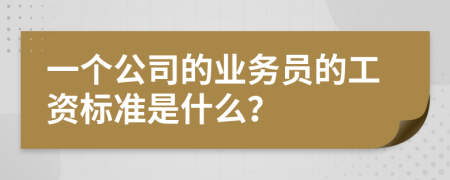 一个公司的业务员的工资标准是什么？