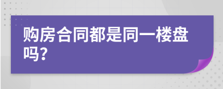 购房合同都是同一楼盘吗？