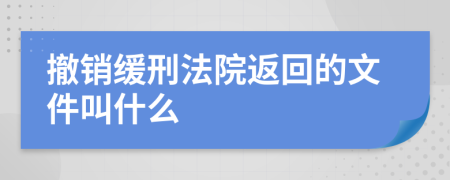 撤销缓刑法院返回的文件叫什么