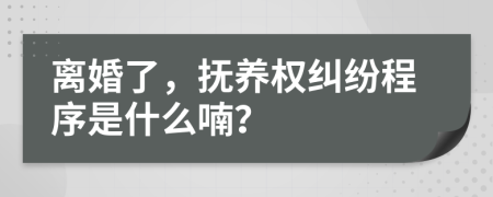 离婚了，抚养权纠纷程序是什么喃？