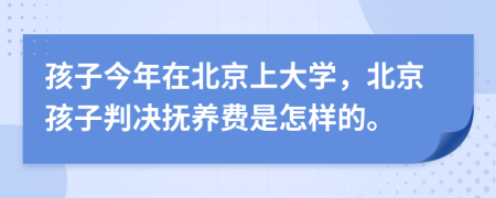 孩子今年在北京上大学，北京孩子判决抚养费是怎样的。