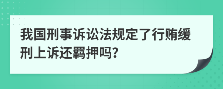 我国刑事诉讼法规定了行贿缓刑上诉还羁押吗？