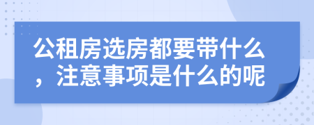 公租房选房都要带什么，注意事项是什么的呢