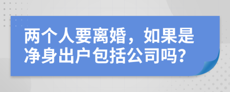 两个人要离婚，如果是净身出户包括公司吗？