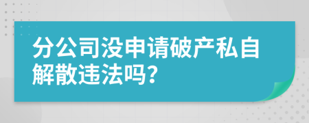 分公司没申请破产私自解散违法吗？