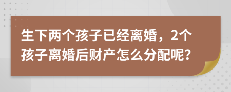 生下两个孩子已经离婚，2个孩子离婚后财产怎么分配呢？