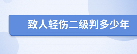 致人轻伤二级判多少年