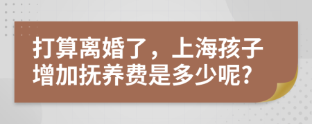打算离婚了，上海孩子增加抚养费是多少呢?