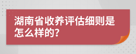 湖南省收养评估细则是怎么样的？