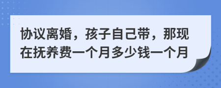 协议离婚，孩子自己带，那现在抚养费一个月多少钱一个月