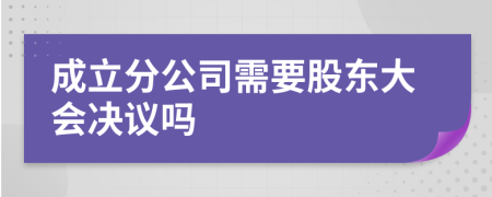 成立分公司需要股东大会决议吗