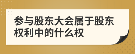 参与股东大会属于股东权利中的什么权