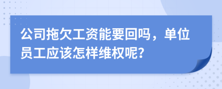 公司拖欠工资能要回吗，单位员工应该怎样维权呢？