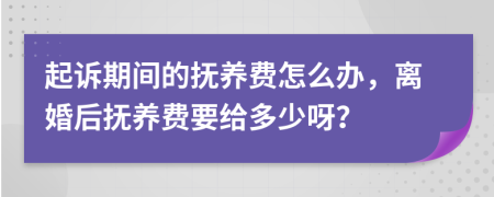 起诉期间的抚养费怎么办，离婚后抚养费要给多少呀？