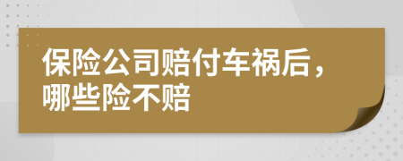 保险公司赔付车祸后，哪些险不赔