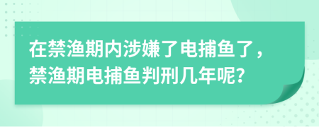 在禁渔期内涉嫌了电捕鱼了，禁渔期电捕鱼判刑几年呢？