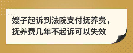 嫂子起诉到法院支付抚养费，抚养费几年不起诉可以失效