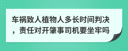 车祸致人植物人多长时间判决，责任对开肇事司机要坐牢吗