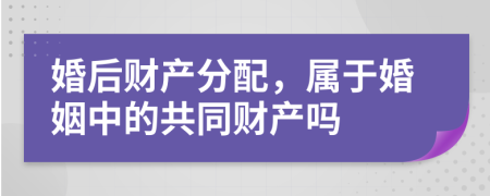 婚后财产分配，属于婚姻中的共同财产吗