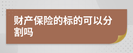 财产保险的标的可以分割吗